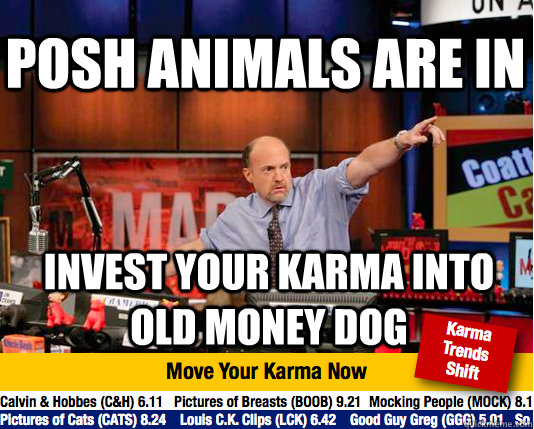 Posh animals are in invest your karma into old money dog - Posh animals are in invest your karma into old money dog  Mad Karma with Jim Cramer