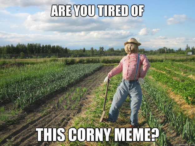 Are you tired of this corny meme?  Scarecrow