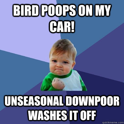 Bird Poops on my Car! unseasonal downpoor washes it off  Success Kid