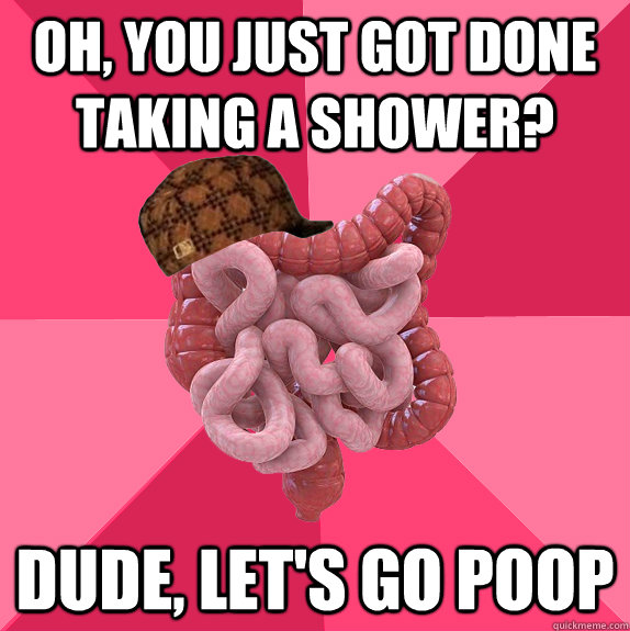 Oh, you just got done taking a shower? Dude, let's go poop  Scumbag Intestines