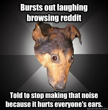 Bursts out laughing browsing reddit Told to stop making that noise because it hurts everyone's ears.  Depression Dog