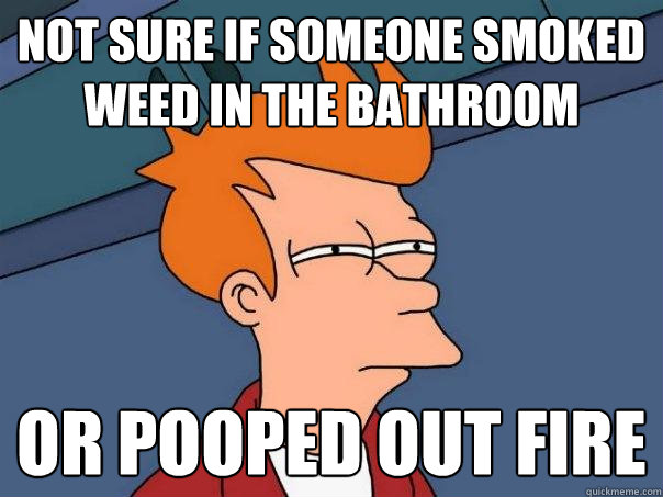 not sure if someone smoked weed in the bathroom or pooped out fire  Futurama Fry