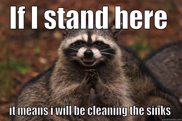 Packing up early? - IF I STAND HERE IT MEANS I WILL BE CLEANING THE SINKS Evil Plotting Raccoon