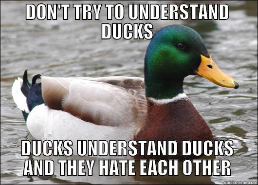 DON'T TRY TO UNDERSTAND DUCKS DUCKS UNDERSTAND DUCKS AND THEY HATE EACH OTHER Actual Advice Mallard