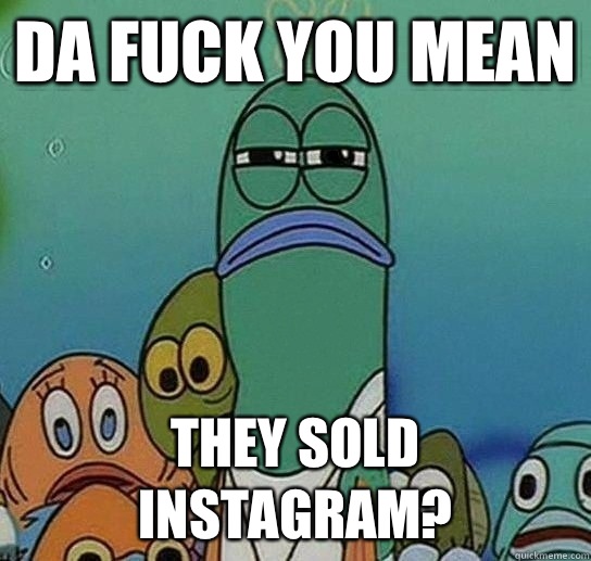 DA FUCK YOU MEAN THEY SOLD INSTAGRAM?  Serious fish SpongeBob