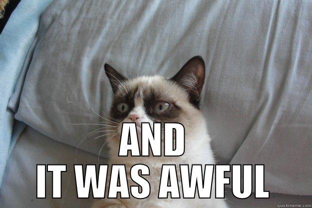  AND IT WAS AWFUL Grumpy Cat