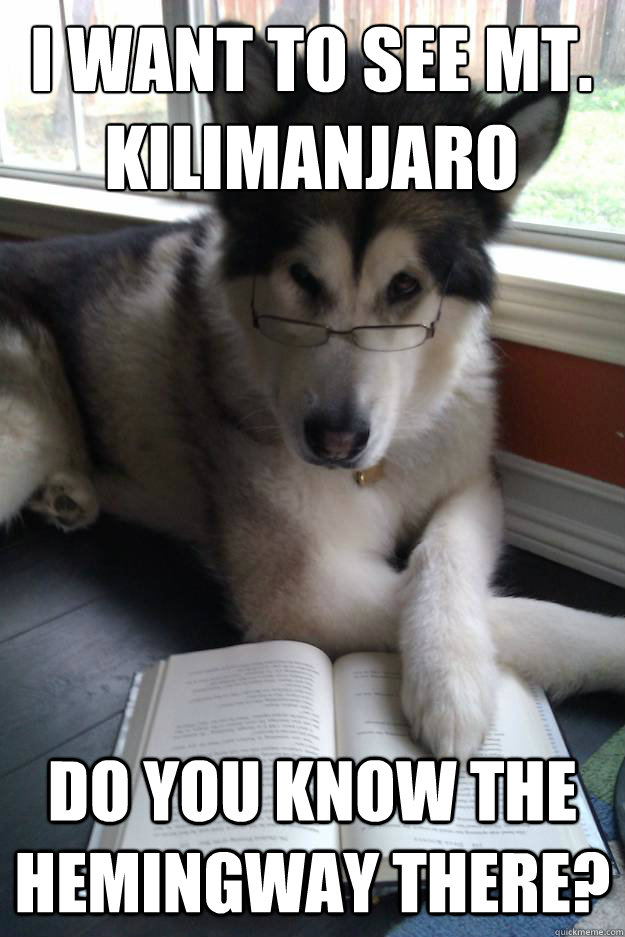 I want to see Mt. Kilimanjaro Do you know the hemingway there?  Condescending Literary Pun Dog