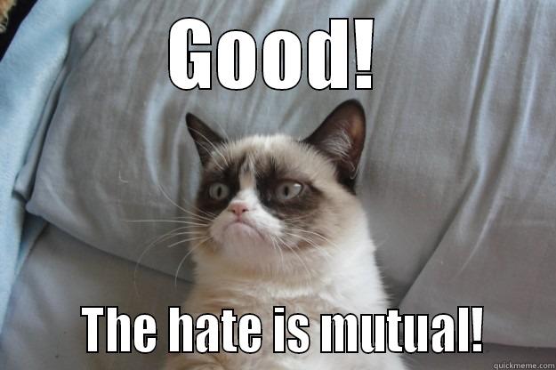 GOOD!       THE HATE IS MUTUAL!     Grumpy Cat