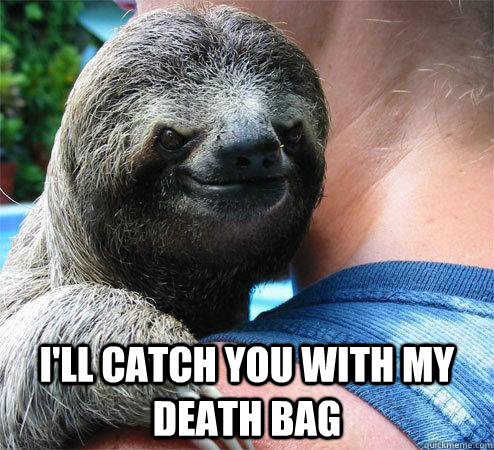  I'll CATCH YOU WITH MY DEATH BAG  Suspiciously Evil Sloth