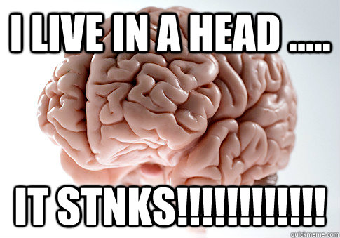 i live in a head ..... it stnks!!!!!!!!!!!!  Scumbag Brain