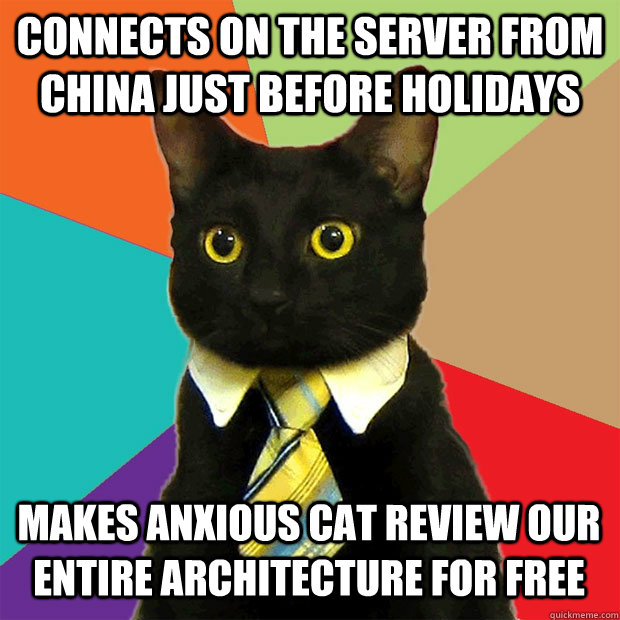 connects on the server from china just before holidays makes anxious cat review our entire architecture for free  Business Cat