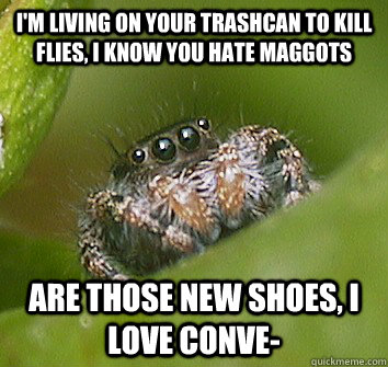 I'm living on your trashcan to kill flies, i know you hate maggots are those new shoes, I love Conve-  Misunderstood Spider