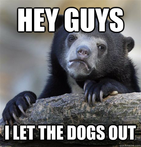 Hey guys  i let the dogs out - Hey guys  i let the dogs out  Confession Bear