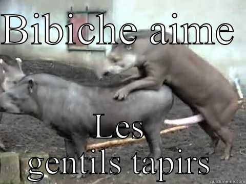 Bibiche aime les tapirs  - BIBICHE AIME  LES GENTILS TAPIRS Misc