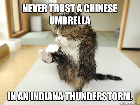 Never trust a Chinese umbrella In an Indiana thunderstorm.   