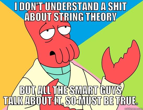 I DON'T UNDERSTAND A SHIT ABOUT STRING THEORY BUT ALL THE SMART GUYS TALK ABOUT IT, SO MUST BE TRUE. Futurama Zoidberg 