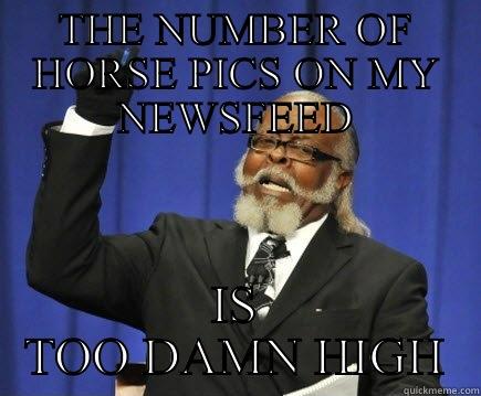 THE NUMBER OF HORSE PICS ON MY NEWSFEED IS TOO DAMN HIGH Too Damn High