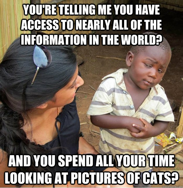 You're telling me you have access to nearly all of the information in the world? and you spend all your time looking at pictures of cats? - You're telling me you have access to nearly all of the information in the world? and you spend all your time looking at pictures of cats?  Skeptical Third World Kid