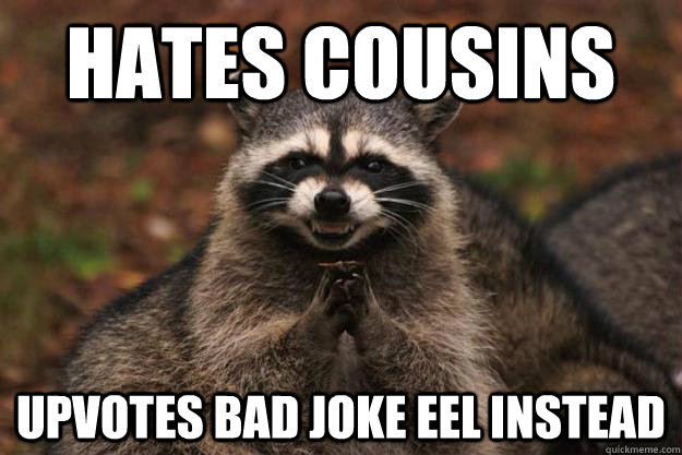 Hates cousins Upvotes bad joke eel instead   Evil Plotting Raccoon