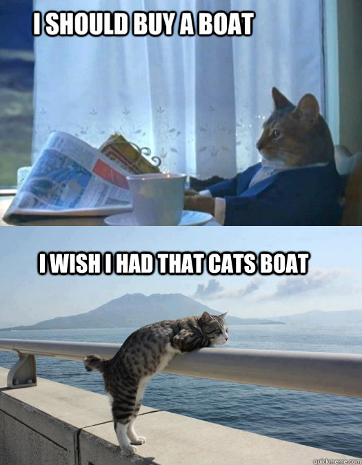 I wish i had that cats boat - I wish i had that cats boat  Daydreamer Cat Sees Sophisticated Cat