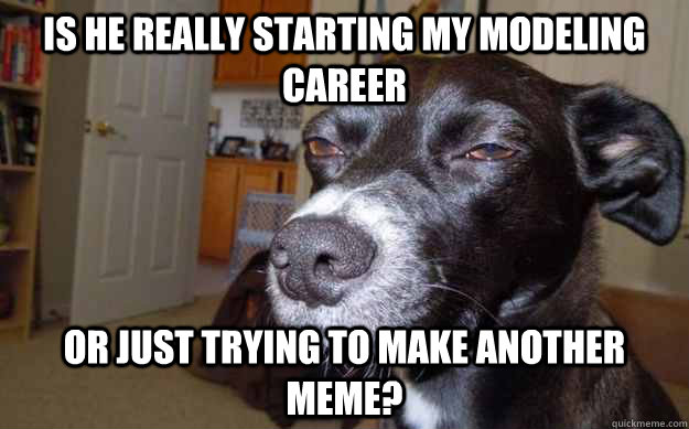 Is he really starting my modeling career or just trying to make another meme? - Is he really starting my modeling career or just trying to make another meme?  Skeptical Mutt