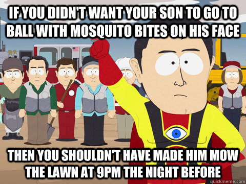 If you didn't want your son to go to ball with mosquito bites on his face Then you shouldn't have made him mow the lawn at 9pm the night before  Captain Hindsight