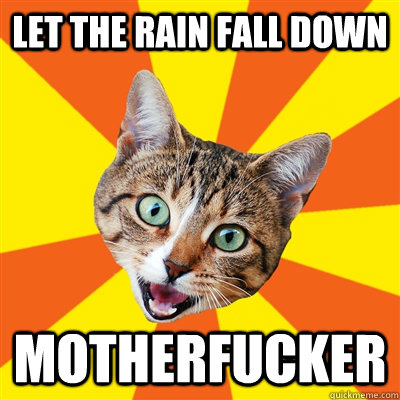 LET THE RAIN FALL DOWN MOTHERFUCKER  Bad Advice Cat