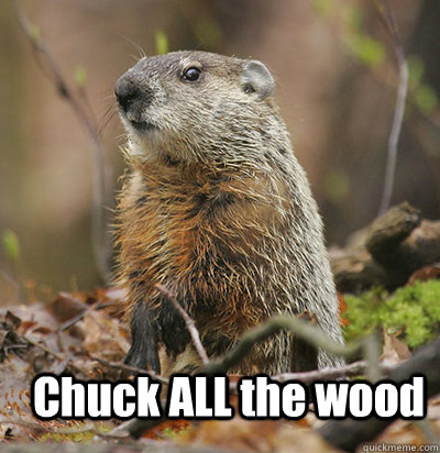 Chuck ALL the wood  Woodchuck