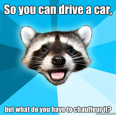 So you can drive a car, but what do you have to chauffeur it?  Lame Pun Coon