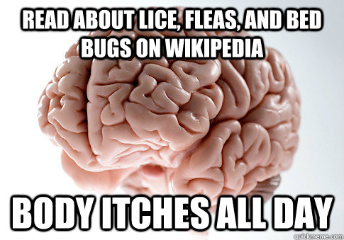 Read about lice, fleas, and bed bugs on Wikipedia Body Itches All Day   Scumbag Brain