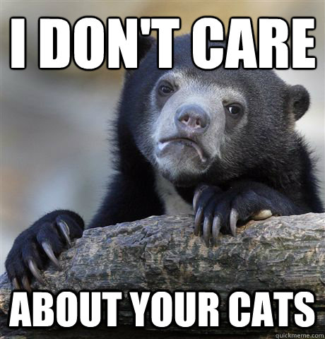 I don't care About your cats  Confession Bear