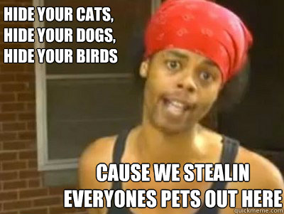 Hide your cats, hide your dogs, hide your birds cause we stealin everyones pets out here  Antoine Dodson