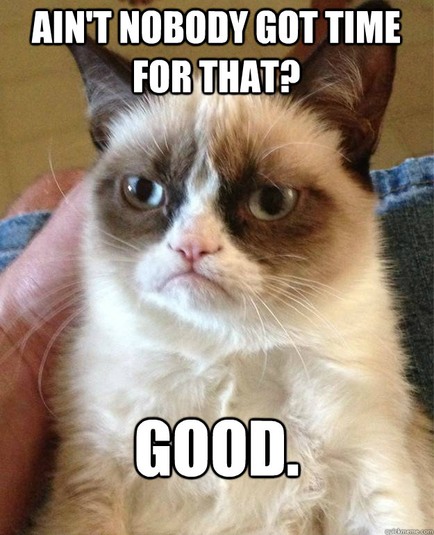 Ain't nobody got time for that? Good.  Grumpy Cat