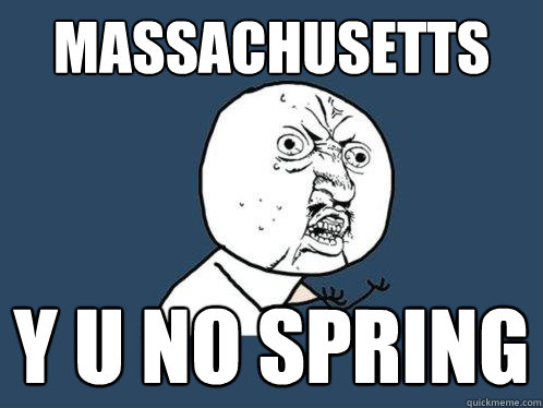 Massachusetts y u no spring  Y U No