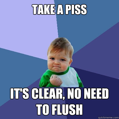 take a piss it's clear, no need to flush - take a piss it's clear, no need to flush  Success Kid