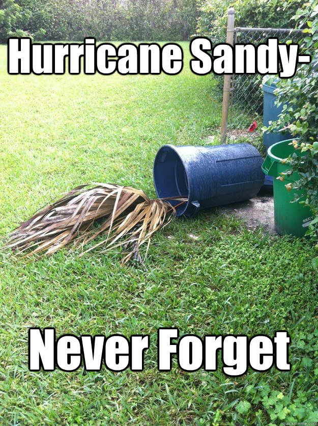 Hurricane Sandy- Never Forget  