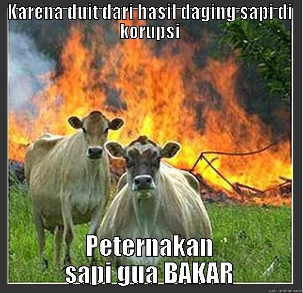 KARENA DUIT DARI HASIL DAGING SAPI DI KORUPSI PETERNAKAN SAPI GUA BAKAR Evil cows