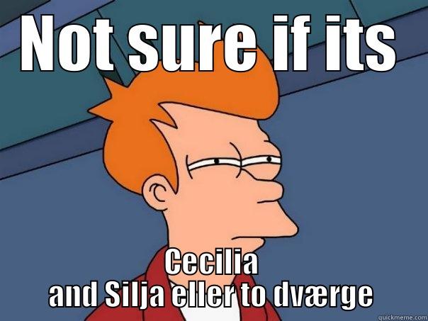 NOT SURE IF ITS CECILIA AND SILJA ELLER TO DVÆRGE Futurama Fry