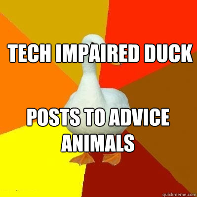 tech impaired duck posts to advice animals  Tech Impaired Duck