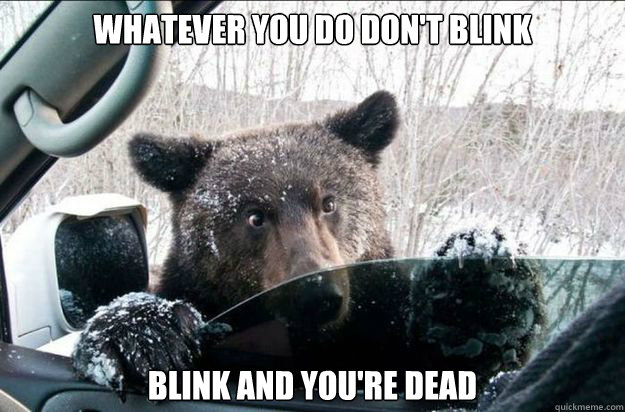 Whatever you Do don't Blink Blink And You're Dead  Good Bear Greg