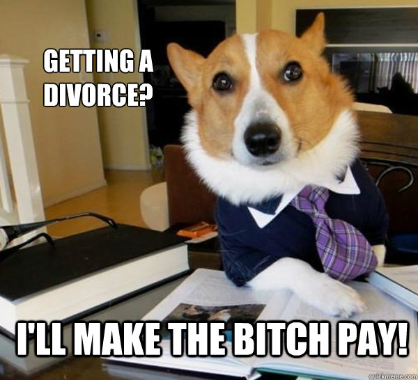 Getting a Divorce? I'll make the bitch pay!  Lawyer Dog