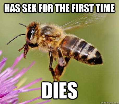 Has sex for the first time Dies  Freshman honey bee