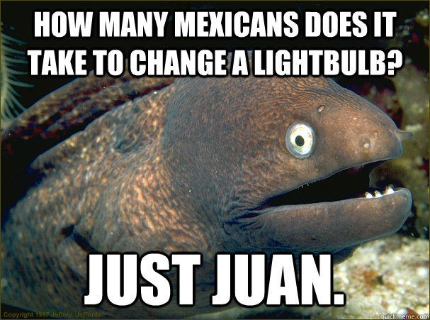 How many mexicans does it take to change a lightbulb? Just Juan.  