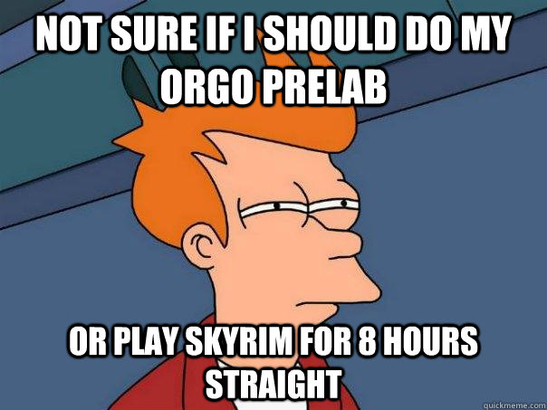 Not sure if I should do my orgo prelab Or play Skyrim for 8 hours straight  Futurama Fry