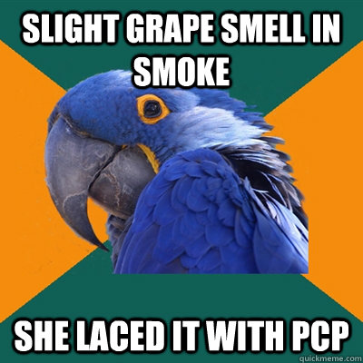 Slight grape smell in smoke  She laced it with PCP - Slight grape smell in smoke  She laced it with PCP  Paranoid Parrot