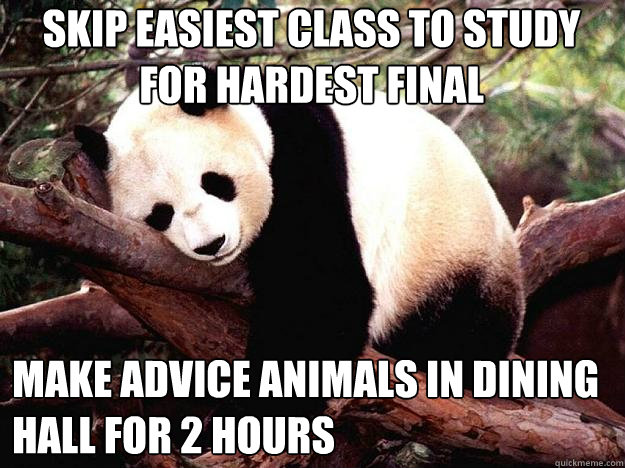 Skip easiest class to study for hardest final Make advice animals in dining hall for 2 hours  Procrastination Panda