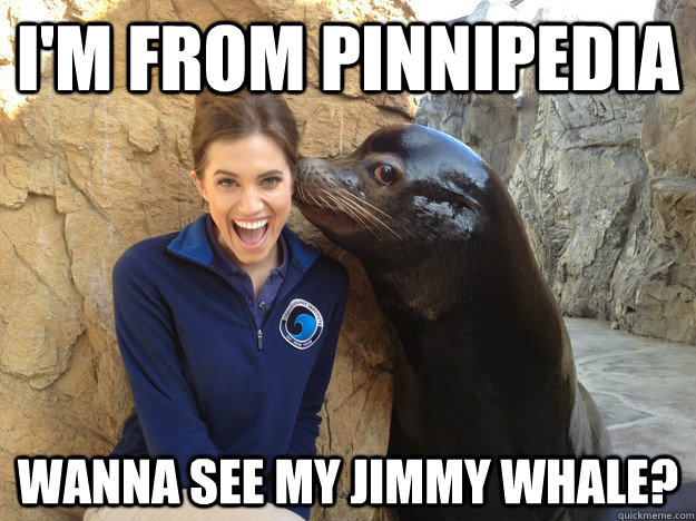 i'm from pinnipedia wanna see my jimmy whale?  Crazy Secret