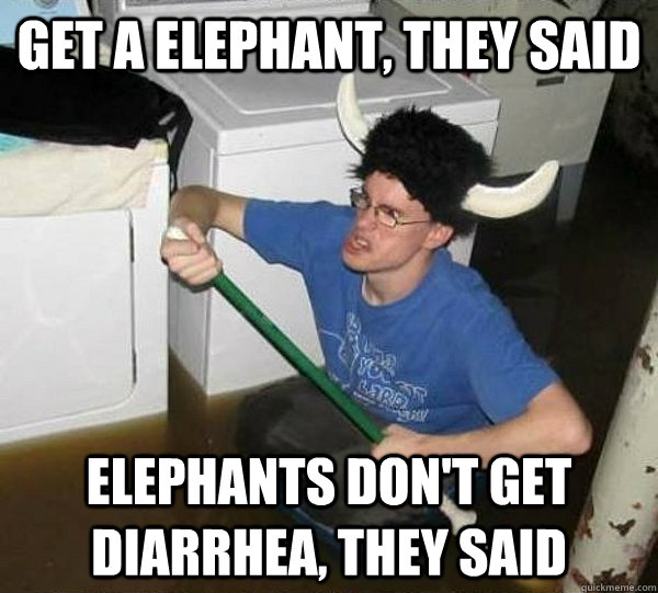 Get a elephant, they said Elephants don't get diarrhea, they said - Get a elephant, they said Elephants don't get diarrhea, they said  They said