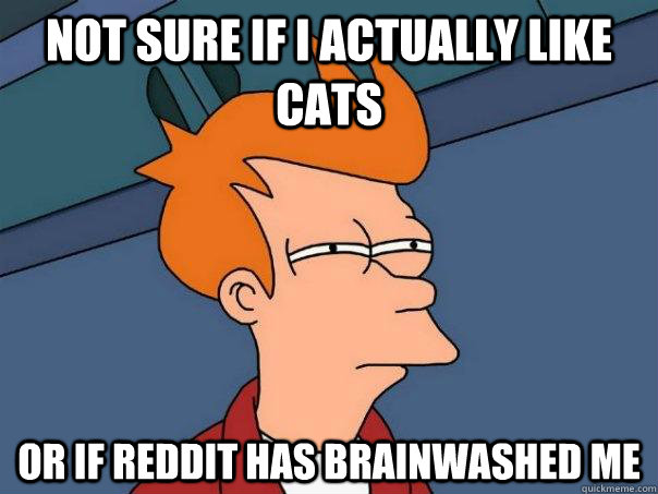 Not sure if i actually like cats or if reddit has brainwashed me - Not sure if i actually like cats or if reddit has brainwashed me  Futurama Fry