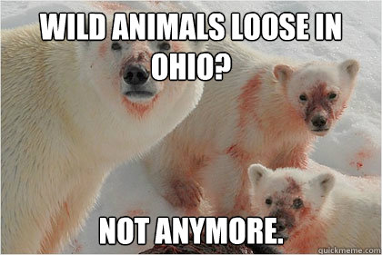 Wild animals loose in 
ohio? Not anymore.  Bad News Bears